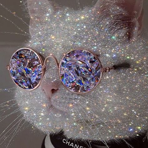 Glitter Aesthetic, Glitter Photography, Glitter Art, Cat Aesthetic, Bling Bling, Cute Cats, Cute Animals, Sparkle, Glitter