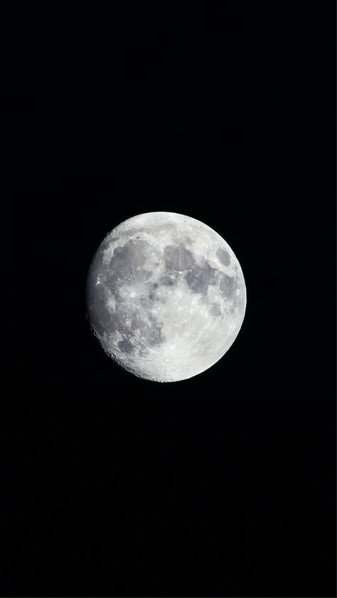 A waxing gibbous Moon in a dark night sky. Photo Of Moon, Full Moon Photos, Snow Wolf, Moon Photo, Gray Tree, Wolf Images, Moon Images, Moon Photos, Look At The Moon