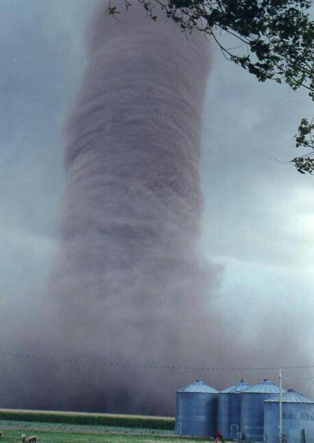 Monster F5 Tornado!!!! Weather Storm, Wild Weather, Sky And Clouds, Natural Phenomena, Science And Nature, Tornado, Amazing Nature, Nature Beauty, Beautiful World