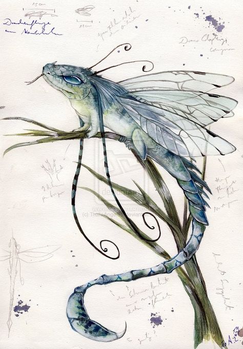 Dragonfly by Thaliaangel91 Spooky Sketches, Mystical Creatures Mythology, Faery Art, Mythical Creatures Art, Mythological Creatures, Mystical Creatures, Fairy Art, Magical Creatures, Fantastic Beasts