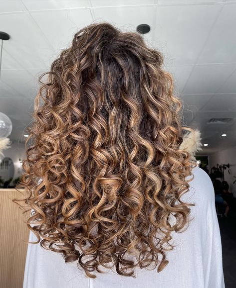 Highlight Ideas For Curly Hair, Curly Hair With Blonde Ends, Brunette Permed Hair, Curly Hair With Balayage Highlights, Highlights For Dirty Blonde Hair Curly, Caramel Balayage Brunette Curly Hair, Curly Blond Highlight, Curly Hair Color Ideas Highlights Caramel Curls, Brunette Hair With Blonde Highlights Curly