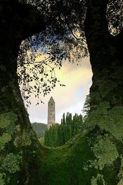 Glendalough view, Co. Wicklow, Ireland Ireland Travel, Pretty Places, The View, Newcastle, Dream Vacations, Beautiful World, Wonders Of The World, Places To See, Finland