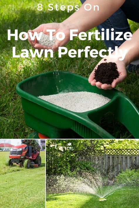 how to fertilize lawn Reseeding Lawn, Spring Lawn Care, Lawn Fertilizer, Aerate Lawn, Lawn Care Tips, Lush Lawn, Healthy Lawn, Grasses Garden, Yard Care