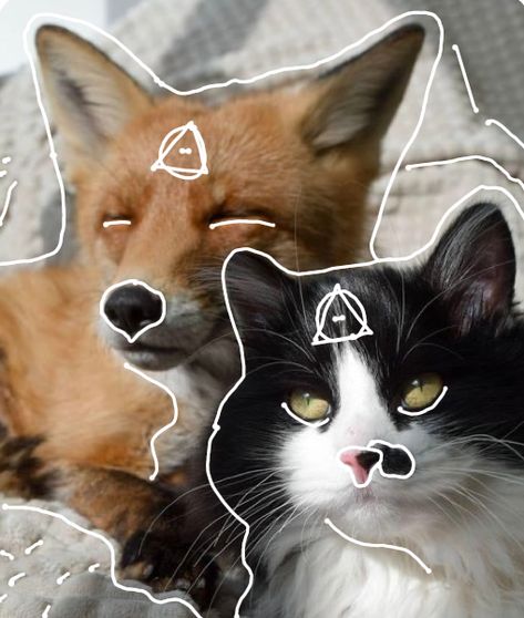 Cat Therian Gear, Fox Therian Art, Quadrobics Art, Therian Sign, Therian Animals, Fenic Fox, Fox Pfp, Therian Art, Therian Cat