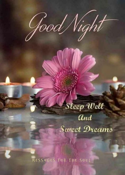 10 Beautiful Good Night Messages For 2022 Good Morning Babe Quotes, Beautiful Good Night Messages, Good Night Sleep Well, Good Night Prayer Quotes, Good Night I Love You, Beautiful Good Night Quotes, Good Night Love Messages, Beautiful Good Night Images, Good Night Flowers