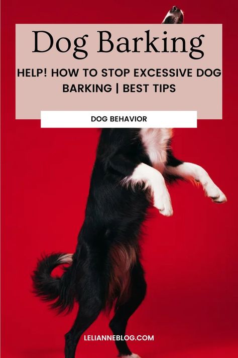 Dog excessive barking – How to stop barking by dogs? This dog blog will educate you about 9 different barking in dogs – and the causes. The best tips to prevent excessive dog barking at night, in sleep or for attention..  #dogblog #doginblog #dogbloggers #dogwithablogcast #dogaboutdog #bloggingaboutdogs #bloggingdogs #dogthedog #dog #blogsdogs #dogbehavior #dogbarking #dogexcessivebarking Stop Puppy Barking, Dog With A Blog, Puppy Barking, Dog Bark, Stop Dog Barking, Barking Dog, Spoiled Dogs, Easiest Dogs To Train, Best Dog Training