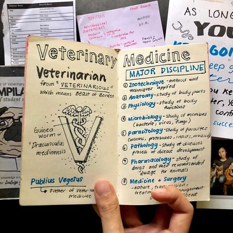 Vet School Acceptance Announcement, Vet Med Study Notes, Vetenary Medicine, Veterinarian Notes Aesthetic, Vet Tech Notes Aesthetic, Vet Notes Aesthetic, Vet School Aesthetic Notes, Vet Assistant Notes, Vet School Notes