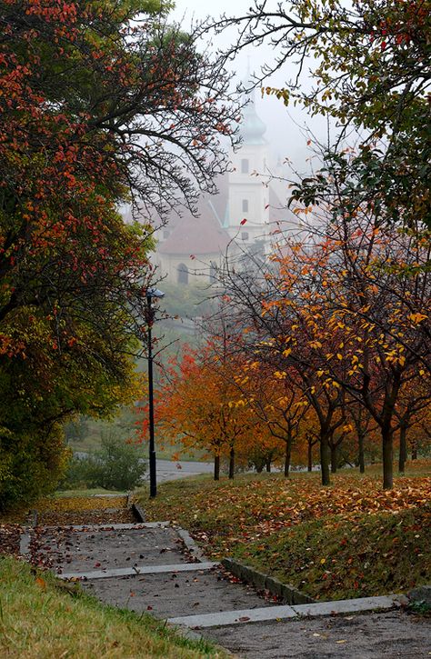 Autumn In Prague, Prague In Autumn, Prague October, Prague Fall, Czechia Aesthetic, German Autumn, Prague Autumn, Czechia Prague, Autumn In Europe