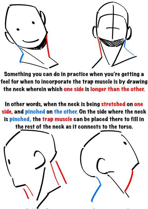 EmilioDekure on Twitter: "Notes for drawing the neck. 😊… " 얼굴 드로잉, Anatomy Tutorial, Art Advice, Human Anatomy Drawing, 얼굴 그리기, Human Anatomy Art, Body Reference Drawing, Gesture Drawing, Anatomy Drawing