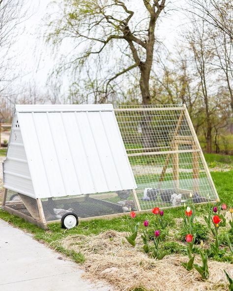 Chicken Tractor Designs, Lightweight Chicken Tractor, Pallet Chicken Tractor, Chicken Coop On Trailer Frame, Mobile Chicken Tractor, Meat Bird Chicken Tractor, Duck And Chicken Coop, Meat Chicken Coop, Large Chicken Tractor