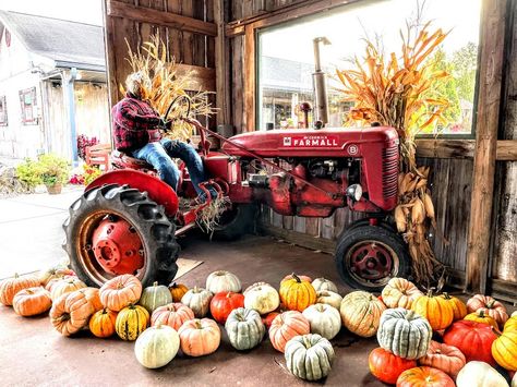 This scarecrow looks ready to get to doing farm work! The tractor is one of several pieces of machinery on display at the greenhouse. #farmfun #fallfestival #fallpumpkindisplay Farm Work, Pumpkin Display, Farm Fun, The Greenhouse, Fall Festival, Scarecrow, Thanksgiving Recipes, On Display, Fall Season