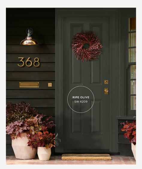 Sherwin Williams Ripe Olive, Green Gray Paint Colors, Green Gray Paint, Olive Green Paints, Gray Paint Colors, Exterior Door Colors, Green Grey Paint, House Numbers Diy, House Exterior Paint