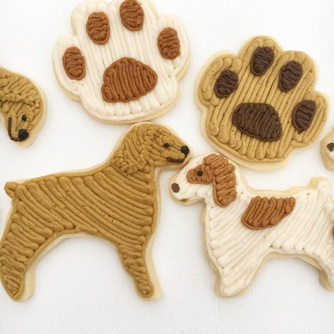 Emily Hutchinson on Instagram: “Dairy free pup cookies for @alibradleytv 🐶🐕😍 They look exactly like her fur babies 😍 Bob and Phyllis . . .#instacookies #cookiesofinstagram…” Paw Print Cookies, Bone Cookies, Pumpkin Dog Biscuits, Vet Doctor, Paw Cookies, Dog Bone Cookies, Tiger Paw, Metallic Party, Dog Biscuits