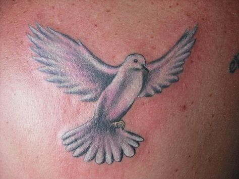 white dove tattoo @Kari Hache but I have heard white hurts REALLY bad White Pigeon Tattoo, White Dove Tattoos, Colorful Bird Tattoos, Pigeon Tattoo, White Bird Tattoos, Tattoo Dream, Holy Spirit Tattoo, Dove Tattoo Design, Dove Tattoos