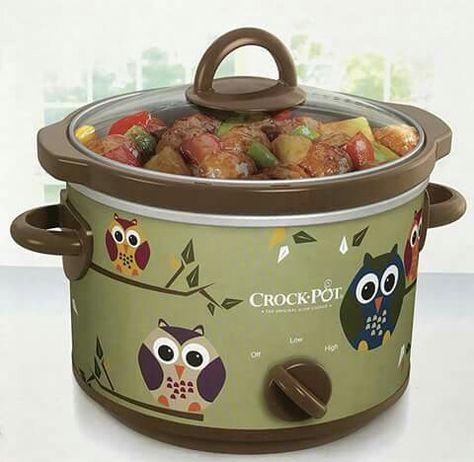 Owl Crockpot Owl Room Decor, Owl Kitchen Decor, Owl Food, Crazy Owl, Slow Cooker Kitchen, Owl Kitchen, Pot Roast Slow Cooker, Owl Collection, Owl Decor