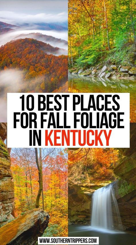 Best Places for Fall Foliage In Kentucky Texas Scenery, Things To Do In Fall, Kentucky Vacation, Kentucky Travel, Fall Vacation, Fall Road Trip, Fall Vacations, Usa Travel Guide, Lexington Kentucky