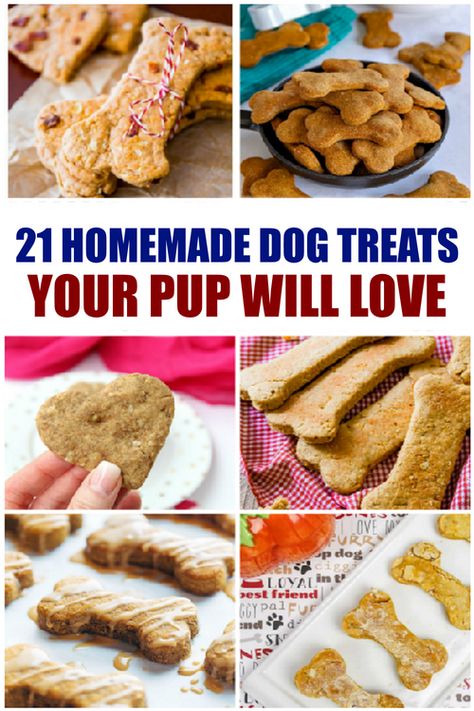 Homemade Dog Cookies, Dogs Treats, Dog Treats Homemade Easy, Easy Dog Treat Recipes, Dog Biscuit Recipes, Easy Dog Treats, Healthy Dog Treats Homemade, Dog Room, Dog Treats Homemade Recipes