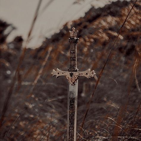 Baratheon Aesthetic, Tiefling Paladin, Medieval Aesthetic, Fairytale Photography, Dragon Knight, Fantasy Novel, Fantasy Aesthetic, Throne Of Glass, Medieval Fantasy