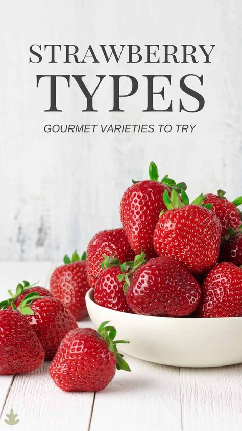 Types Of Strawberries, Strawberry Varieties, Berry Garden, Table Food, Strawberry Plants, Strawberry Desserts, Organic Recipes, A World, Strawberries