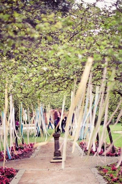 Trees Tree Carvings, Wedding Tree Decorations, Ribbon Streamers, Wedding Tree, Boho Chic Wedding, Tree Wedding, Wedding Deco, Ceremony Decorations, Here Comes The Bride