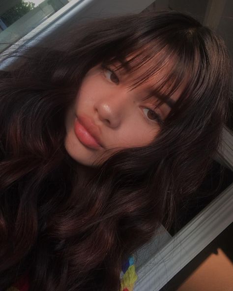 bangs, black hair, brunette, cute, aesthetic, volume, wavy Whisky Bangs, Brown Hair Bangs, Light Bangs, Haircut Inspo, Tumblr Hair, Hair Idea, Haircut Inspiration, Ribbon Hairstyle, Wispy Bangs