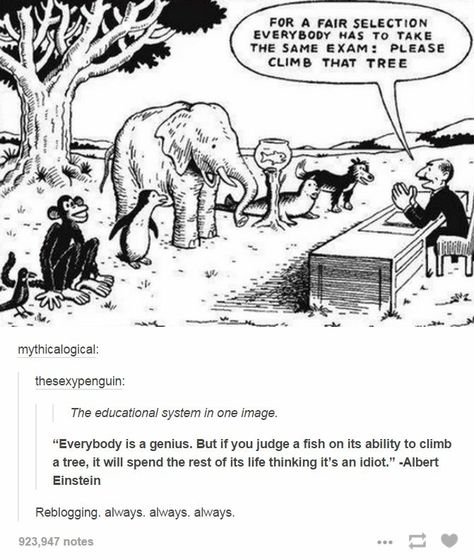 For a 'fair' selection everybody has to take the same exam: please climb that tree. #monkey #penguin #elephant #fish Einstein Quotes, Education System, Education Quotes, Albert Einstein, Reality Quotes, Wise Quotes, Satire, Thoughts Quotes, Great Quotes