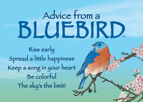 Bluebird House Plans, Bluebird Watercolor, Bluebird Painting, Bluebird Tattoo, Blue Bird Art, Bluebird House, Bird Quotes, Bird House Plans, Eastern Bluebird