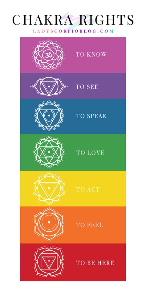 Overcome your Basic Human Rights by Aligning with the Chakras – LADY SCORPIO Chakra Painting, Chakra Tattoo, Manipura Chakra, Chakra Health, Arte Yoga, The Seven Chakras, Learn Reiki, Chakra Affirmations, Chakra Symbols