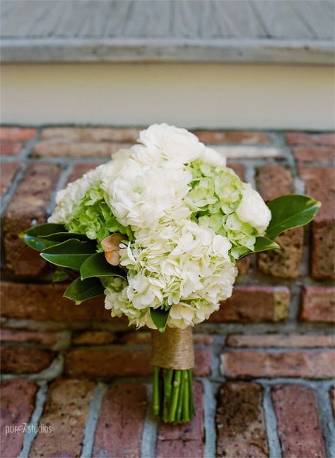 The bridal bouquet will be a clutch of cream and green hydrangeas with white ranunculus, green seeded eucalyptus, and magnolia foliage wrapped in ivory ribbon. Hydrangea And Magnolia Bouquet, Green Hydrangea Wedding Bouquet, White And Green Hydrangea Wedding, White Hydrangea And Eucalyptus Bouquet, White And Green Hydrangea Bouquet, Green Hydrangea Bouquet, Spring Bridal Shower Favors, Hydrangea Bridesmaid Bouquet, Hydrangea Bridal Bouquet