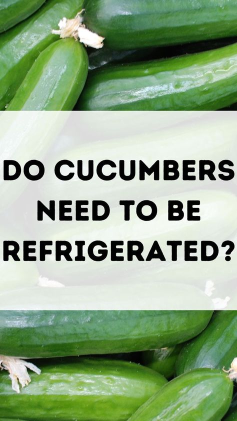 Keep your cucumbers fresh and crisp with this ultimate guide on cucumber storage. Uncover the truth about refrigeration and cucumbers, and learn the simple tips and tricks that will keep your cucumbers delicious for longer. Say goodbye to mushy cucumbers and hello to the perfect crunch in your salads and sandwiches. Don't miss out on this must-read guide, save this pin and never settle for less-than-perfect cucumbers again. Cucumber Storage, Never Settle For Less, Yummy Salad Recipes, Never Settle, Delicious Salads, The Truth, Tips And Tricks, Need This, Salad Recipes