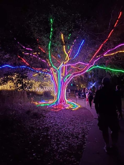 Outdoor Tree Lighting, Outdoor Restaurant Design, Neon Jungle, Outdoor Trees, Outdoor Restaurant, Cafe Interior Design, Neon Party, Organic Modern Decor, Decor Bathroom