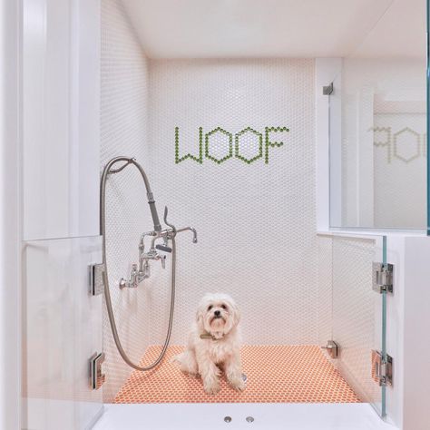 Dog Showers and Built-In Crates | HGTV Smart Home 2020 | HGTV New Home Essentials, Dog Washing Station, Pet Spaces, Penny Tile, Penny Round, Floor Tile Design, Unique Interior Design, Dog Wash, Bathroom Tile Designs