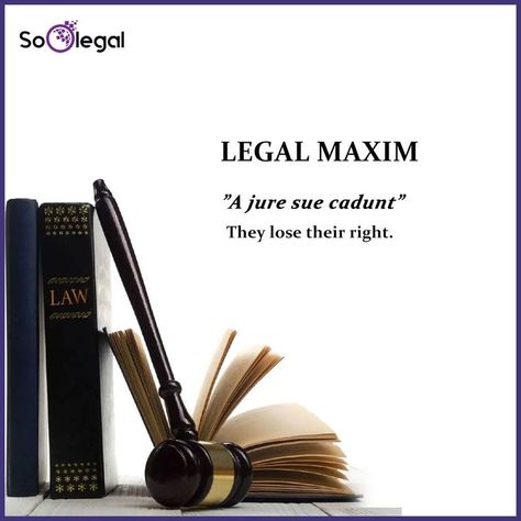 #legal #maxim #legalmaxim #law #lawyers #advocate #LegalMaximoftheday Legal Maxims, Government Lessons, Law School Prep, Logistics Design, Law Notes, Law School Life, Law School Inspiration, Law Quotes, School Prep