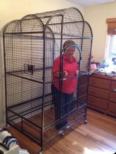 grandma lock in a cage Harry Styles Reaction Pics, Twitter Reaction Pics, Template Meme, Twitter Reaction, Loona Memes, Always Grateful, Harry Styles Memes, Market Economy, One Direction Memes