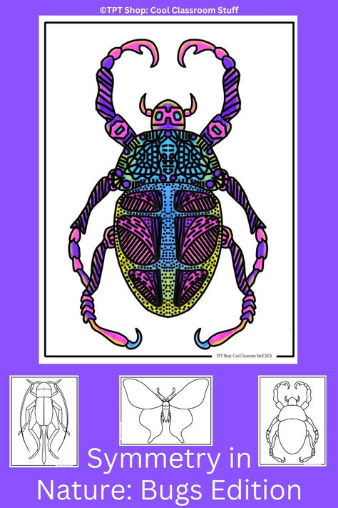 insect showing pattern and symmetry Pattern Art Projects Middle School, Easy Middle School Art Lessons, Teaching Symmetry, Middle School Stem, Symmetry In Nature, Art Sub Lessons, Lesson Plan Ideas, Ideas For Kindergarten, Art Sub Plans