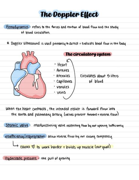 This purchase includes the notes for Ultrasound physics semester 2 for the Doppler Effect (chapter 5). Diagnostic Medical Sonography Student, Ultrasound Physics, Nursing School Studying Cheat Sheets, Medical Terminology Study, Study Sheets, Nursing School Inspiration, Learn Biology, Nursing School Essential, Nursing School Motivation