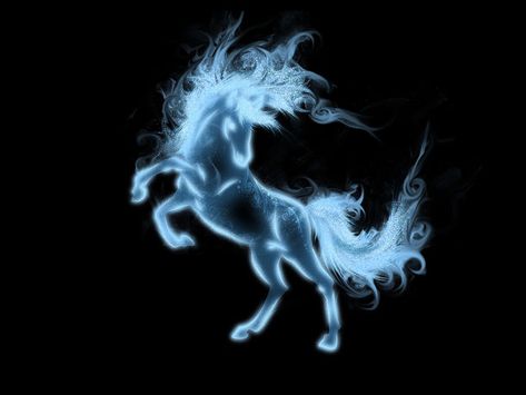 Horse Horse Background, Harry Potter Quizzes, Beautiful Horses Photography, Expecto Patronum, Hp Harry Potter, Fantasy Horses, Unicorns And Mermaids, Your Spirit Animal, Cute Fantasy Creatures