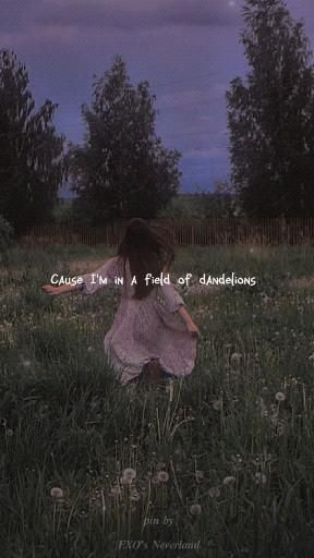 New Song English, Dandelions Lyrics Wallpapers, Wallpapers With Song Lyrics, Dandelions Aesthetic Song, Dandelions Song Wallpaper, English Music Aesthetic, U And I Song Lyrics, One Of The Girls Lyrics, Cute English Songs