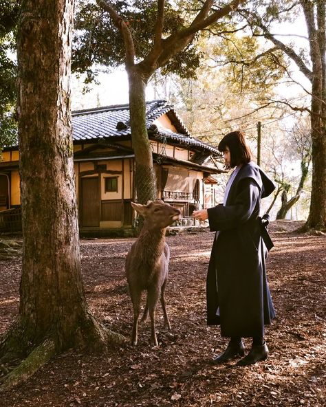 🇯🇵 [ Things to Do in Nara, Japan ] If you've done enough research on things to do in Japan, you've probably heard of Japan's famous Nara deer park! This ancient capital of Japan is renowned for a thousand wild deer and sacred temples. Nara makes for a perfect day trip from Osaka or Kyoto! You'll see lots of deer roam freely around the park as these adorable animals are sacred and protected in Japan 🦌 🦌 Feed the deer in Nara Park -   You'll find vendors selling deer crackers throughout the ... Nara Deer Park, Nara Deer, Nara Park, Things To Do In Japan, Wild Deer, Nara Japan, Deer Park, A Perfect Day, Adorable Animals