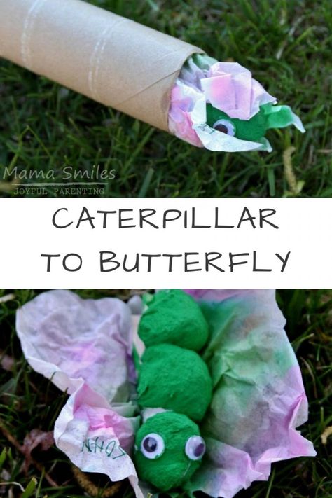 caterpillar to butterfly craft for preschoolers. Chrysalis Craft, Butterfly Craft For Kids, Caterpillar To Butterfly, Hungry Caterpillar Activities, Books And Activities, Butterflies Activities, Bugs Preschool, Butterfly Craft, Bug Crafts