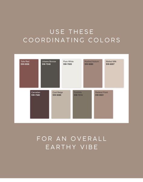 Brown And Grey Paint Scheme, Earthy Interior Color Palette, Earthy Color Schemes Colour Palettes, Powder Room Color Palette, Sw Dusted Truffle, Cohesive Paint Colors Home, Home Office Color Scheme Cozy, Classy Paint Colors, Inkwell Color Palette