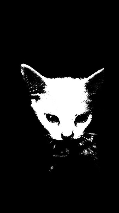 Please Support my posts :). I'm working to be a photographer and vlogger. Follow me on instagram @hanan_seyal and subscribe my YouTube channel memesbyhanan and gaming by hanan. #cats Black Paint Aesthetic, Cat Dark Wallpaper, Unsettling Wallpaper, Black Cute Background, Halloween Wallpaper Black And White, Black And White Wallpaper Desktop, Black Goth Wallpaper, Dark Cat Wallpaper, Black Poster Prints