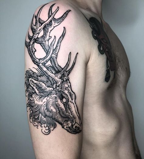 Billy Bernert, Stag Tattoo, Etching Tattoo, Woodcut Tattoo, Medieval Tattoo, Engraving Tattoo, Deer Tattoo, Rabbit Tattoos, 4 Tattoo