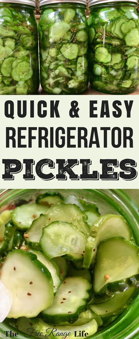 These quick and easy refrigerator pickles are sweet and tangy- and the perfect thing to make with all those fresh grown cucumbers from your garden! East Refrigerator Pickles, Lots Of Cucumbers, What To Do With Lots Of Cucumbers, Cucumber Pickle Recipes, Pickles Homemade Easy, Easy Refrigerator Pickles, Homemade Refrigerator Pickles, Refrigerator Pickles Dill, Refrigerator Pickle Recipes