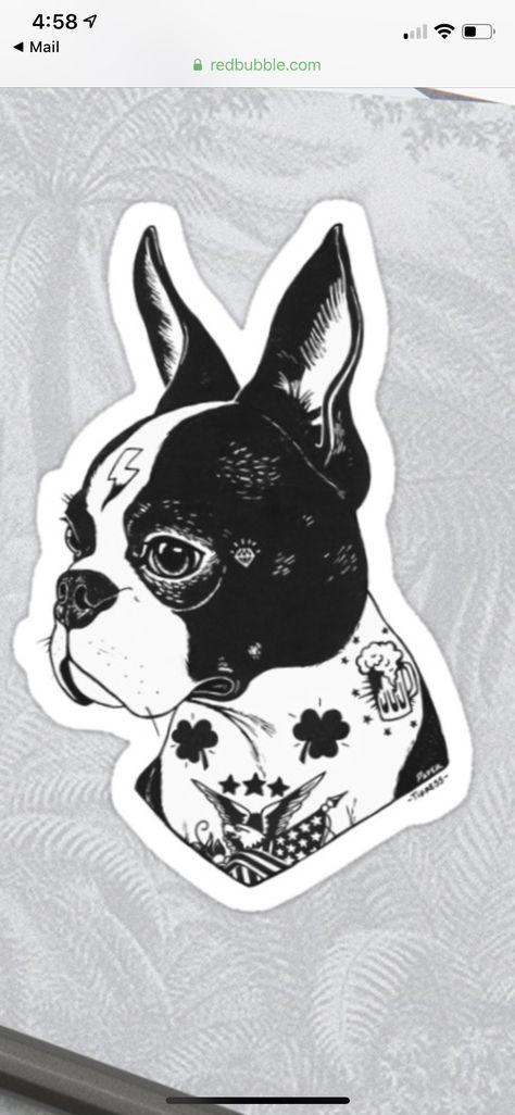 Boston Terrier Tattoo, Boston Terrier Illustration, Terrier Tattoo, Traditional Black Tattoo, Black Tattoo, Traditional Tattoos, Tattoo Flash, Black Tattoos, Flash Tattoo