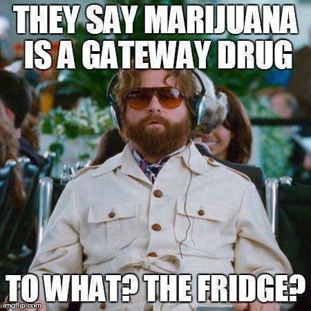 Haha weed is a gateway drug Comebacks Humor, Zach Galifianakis, Hilarious Stuff, Funny Captions, 웃긴 사진, Totally Me, Clipuri Video, Memes Humor, My Chemical