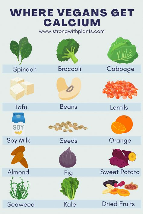 Check out alternatives to milk and eggs that great vegan calcium sources. Also supplements suitable for vegans. Vegan Calcium Sources, Calcium Sources, Fresh Cheese Recipe, Vegan Calcium, Vitamin A Foods, Gourmet Grilled Cheese, Foods With Calcium, Sources Of Calcium, Yogurt Smoothies