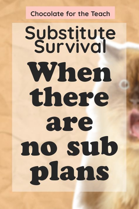 A shocked cat with the title “Substitute Survival: When there are no sub plans” Substitute Teaching Tips, Substitute Teacher Lesson Plans, Substitute Teacher Tips, Substitute Ideas, Substitute Teaching, Class Games, Substitute Teacher, Teacher Tips, Teaching Elementary