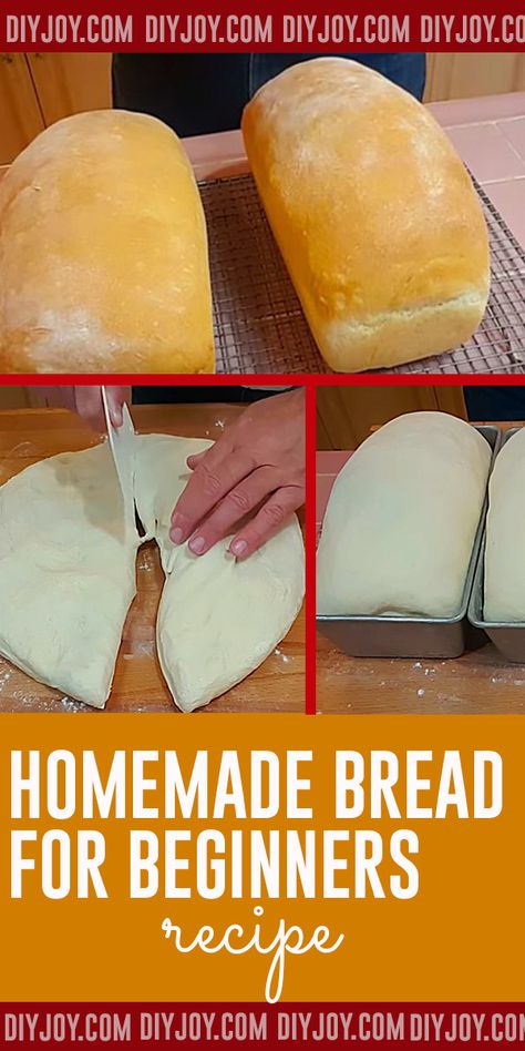 Homemade Bread Recipe for Beginners Homemade Bread For Beginners, Bread Recipe For Beginners, Bread For Beginners, Beginners Bread Recipe, Homemade Bread Recipe, Amish Bread, Recipe For Beginners, Pain Sans Gluten, Homemade Breads