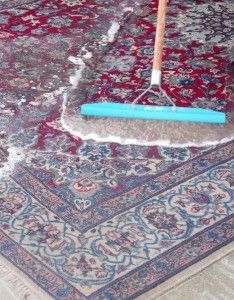 Steam Master on Carpet Wash, Cleaning Area Rugs, Carpet Cleaning Hacks, Buying Carpet, Professional Carpet Cleaning, Carpet Cleaning Service, Pet Stains, Rug Cleaner, Diy Carpet